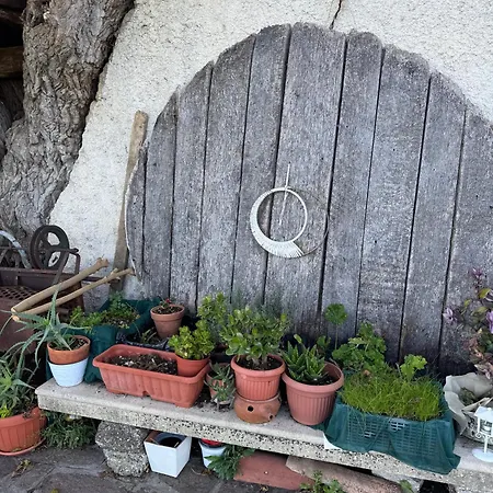 La Fattoria SantʼArcangelo di Romagna