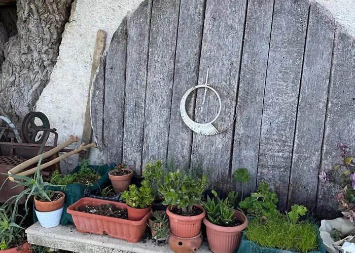 La Fattoria SantʼArcangelo di Romagna